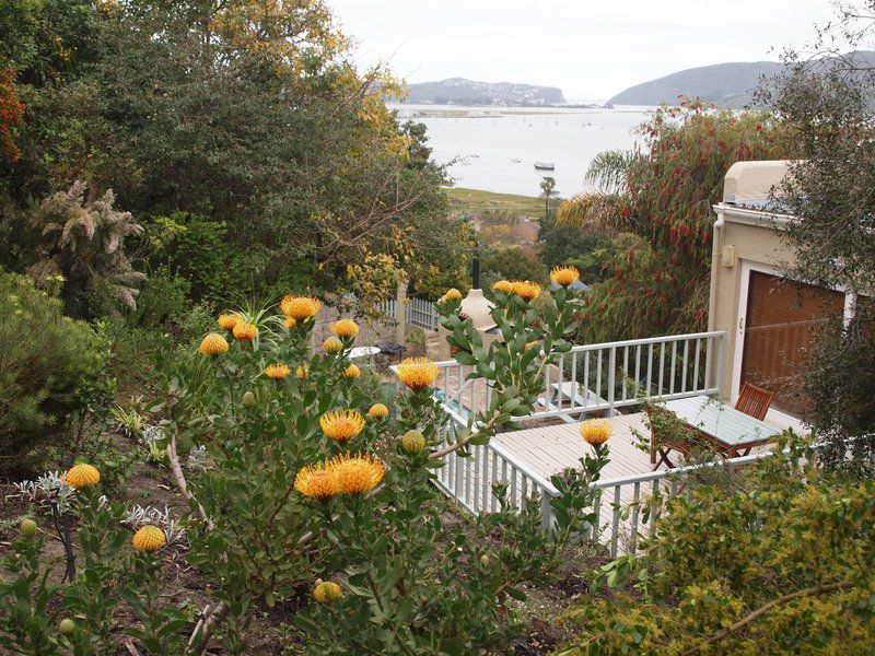 Paradise View Upmarket Apartment Paradise Knysna Western Cape South Africa Plant, Nature, Garden, Vegetable, Food