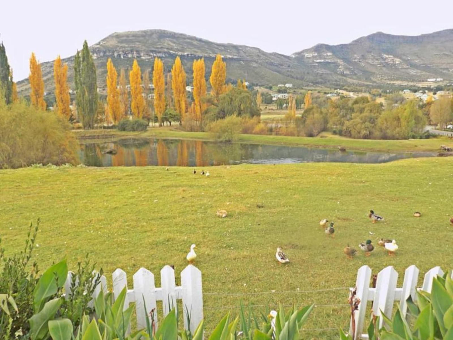 Upper House Clarens Free State South Africa Nature