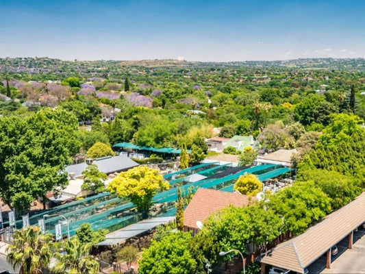 Urban Oasis Apex Rosebank Johannesburg Gauteng South Africa Complementary Colors, House, Building, Architecture, Garden, Nature, Plant, Swimming Pool