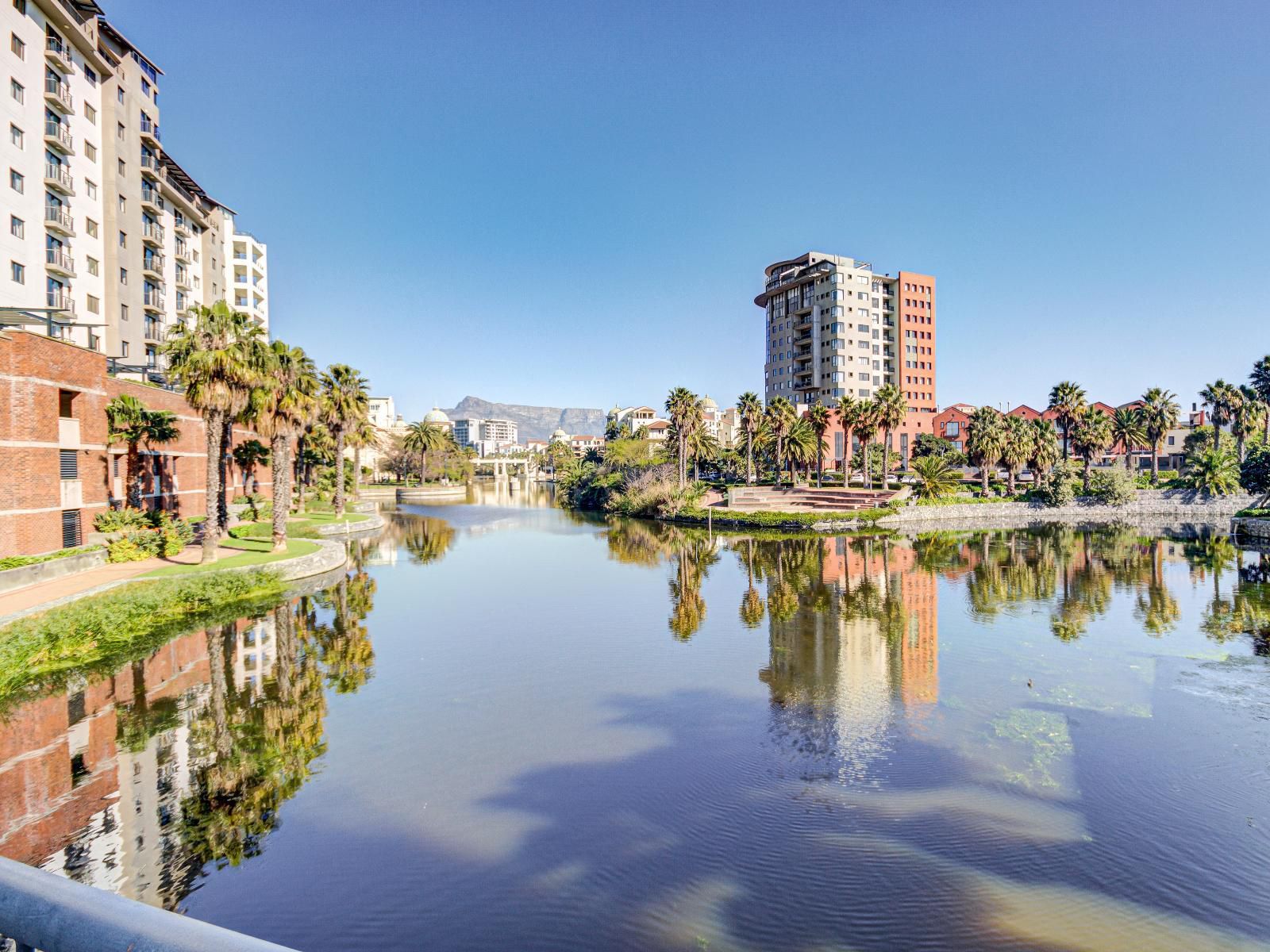 Uniquestay Century City Apartment Century City Cape Town Western Cape South Africa Complementary Colors, Palm Tree, Plant, Nature, Wood, River, Waters