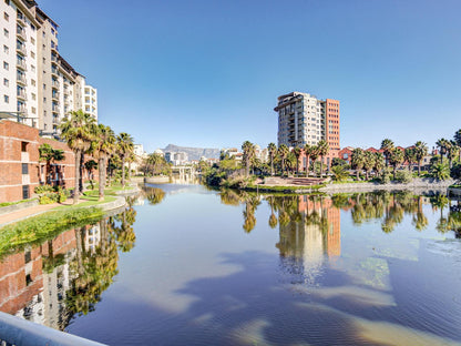 Uniquestay Century City Apartment Century City Cape Town Western Cape South Africa Complementary Colors, Palm Tree, Plant, Nature, Wood, River, Waters