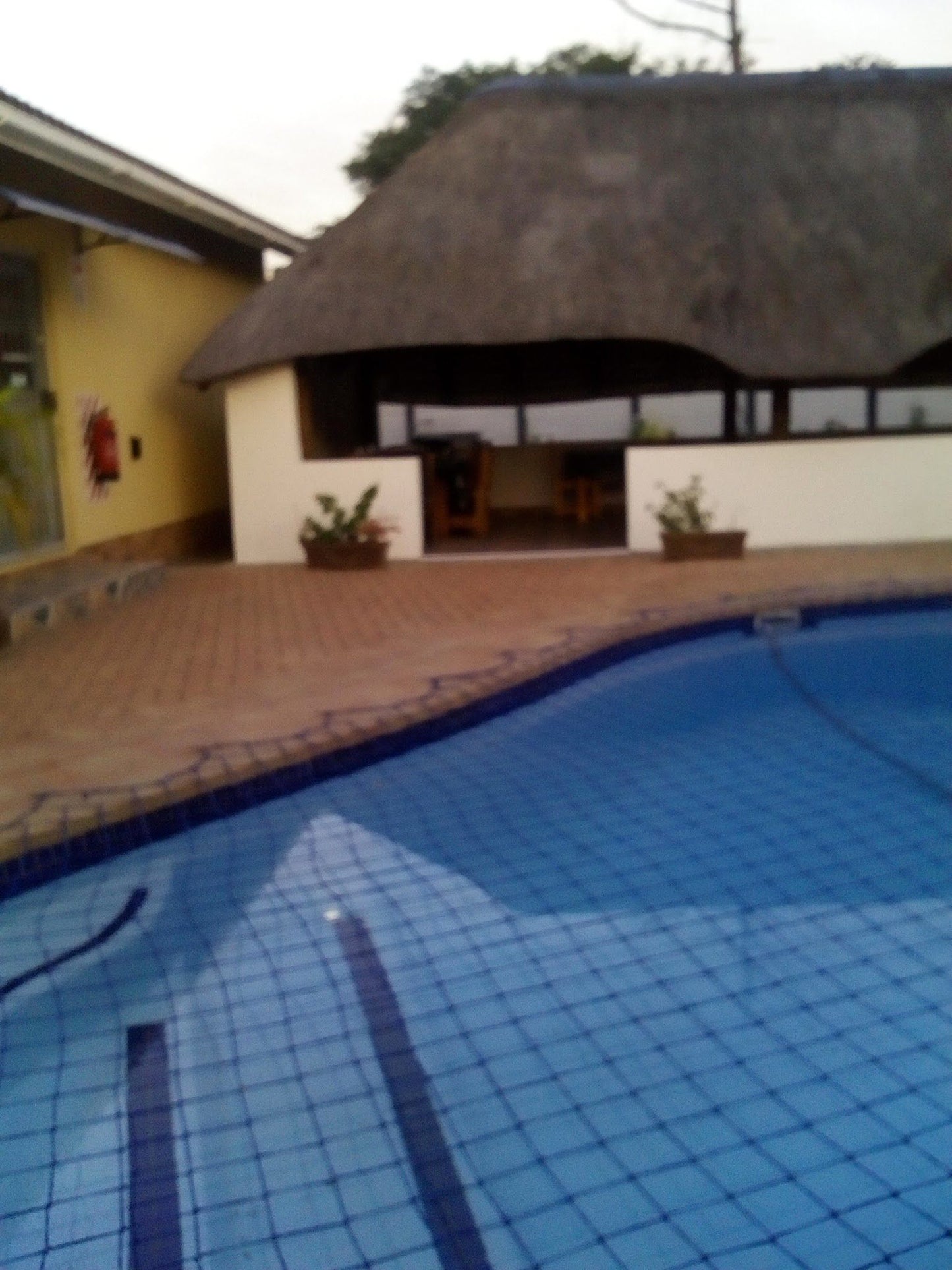 Ushaka Bed And Breakfast Richards Bay Kwazulu Natal South Africa Swimming Pool