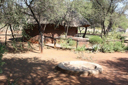 Utara Wildsplaas Mookgopong Naboomspruit Limpopo Province South Africa Cabin, Building, Architecture, Reptile, Animal