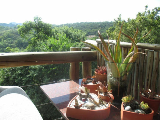 Utopia In Africa Guest Villa, Garden, Nature, Plant