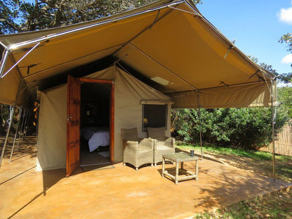 Utshwayelo Kosi Mouth Lodge And Camp Kosi Bay Kwazulu Natal South Africa Tent, Architecture