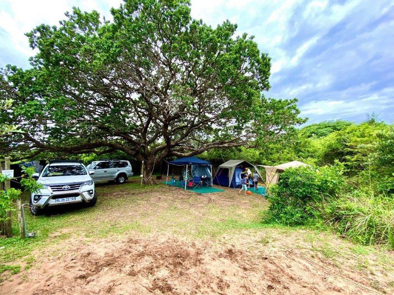 Utshwayelo Kosi Mouth Lodge And Camp Kosi Bay Kwazulu Natal South Africa Tent, Architecture, Tree, Plant, Nature, Wood