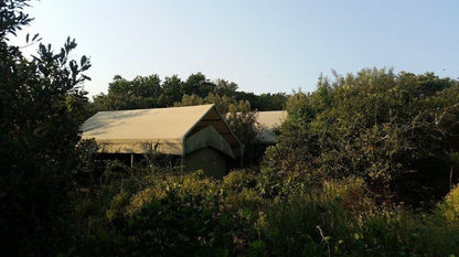 Utshwayelo Kosi Mouth Lodge And Camp Kosi Bay Kwazulu Natal South Africa Tent, Architecture