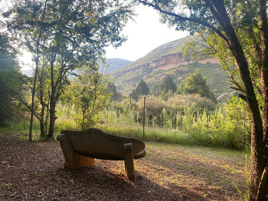 Uvongo Holidays, Capri no 15  - Ramsgate, Meadow, Nature, Mountain, Tree, Plant, Wood, Autumn, Highland