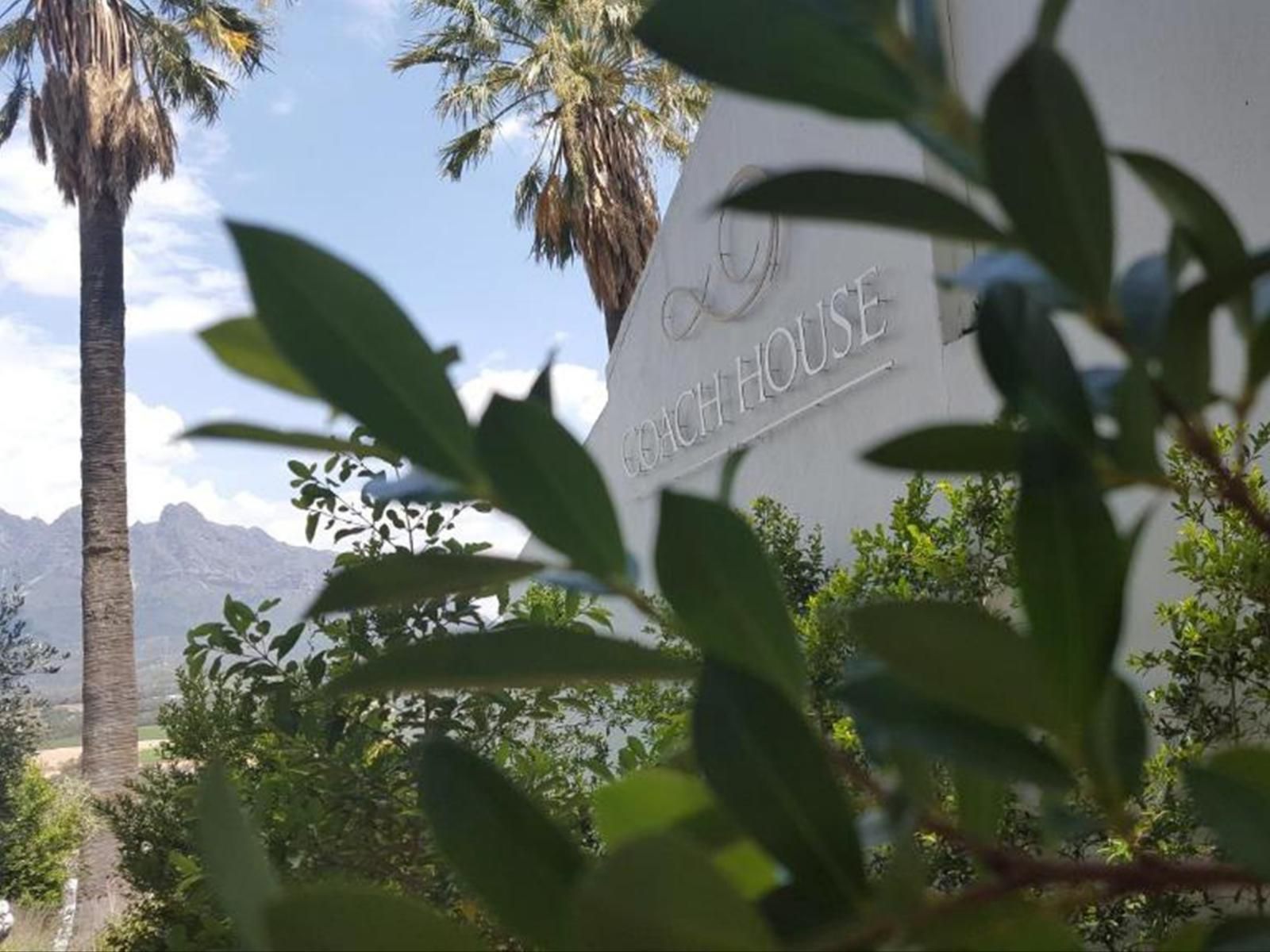 Val Du Charron Coach House Wellington Western Cape South Africa Palm Tree, Plant, Nature, Wood, Sign