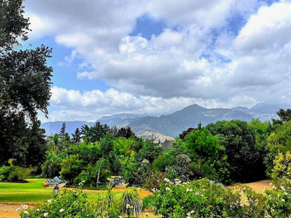 Val D Or Estate Franschhoek Western Cape South Africa Complementary Colors, Mountain, Nature