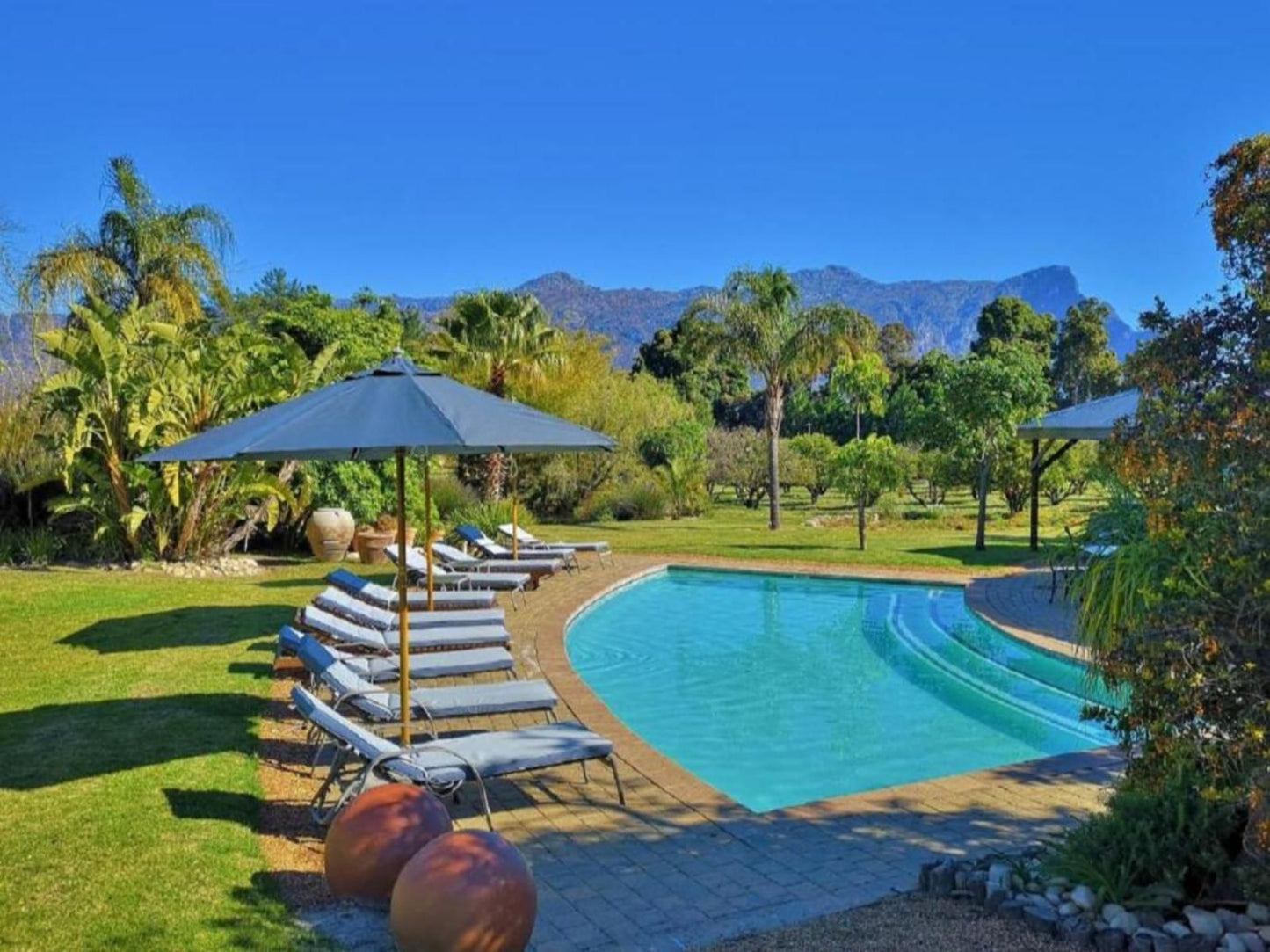 Val D Or Estate Franschhoek Western Cape South Africa Complementary Colors, Palm Tree, Plant, Nature, Wood, Autumn, Garden, Swimming Pool
