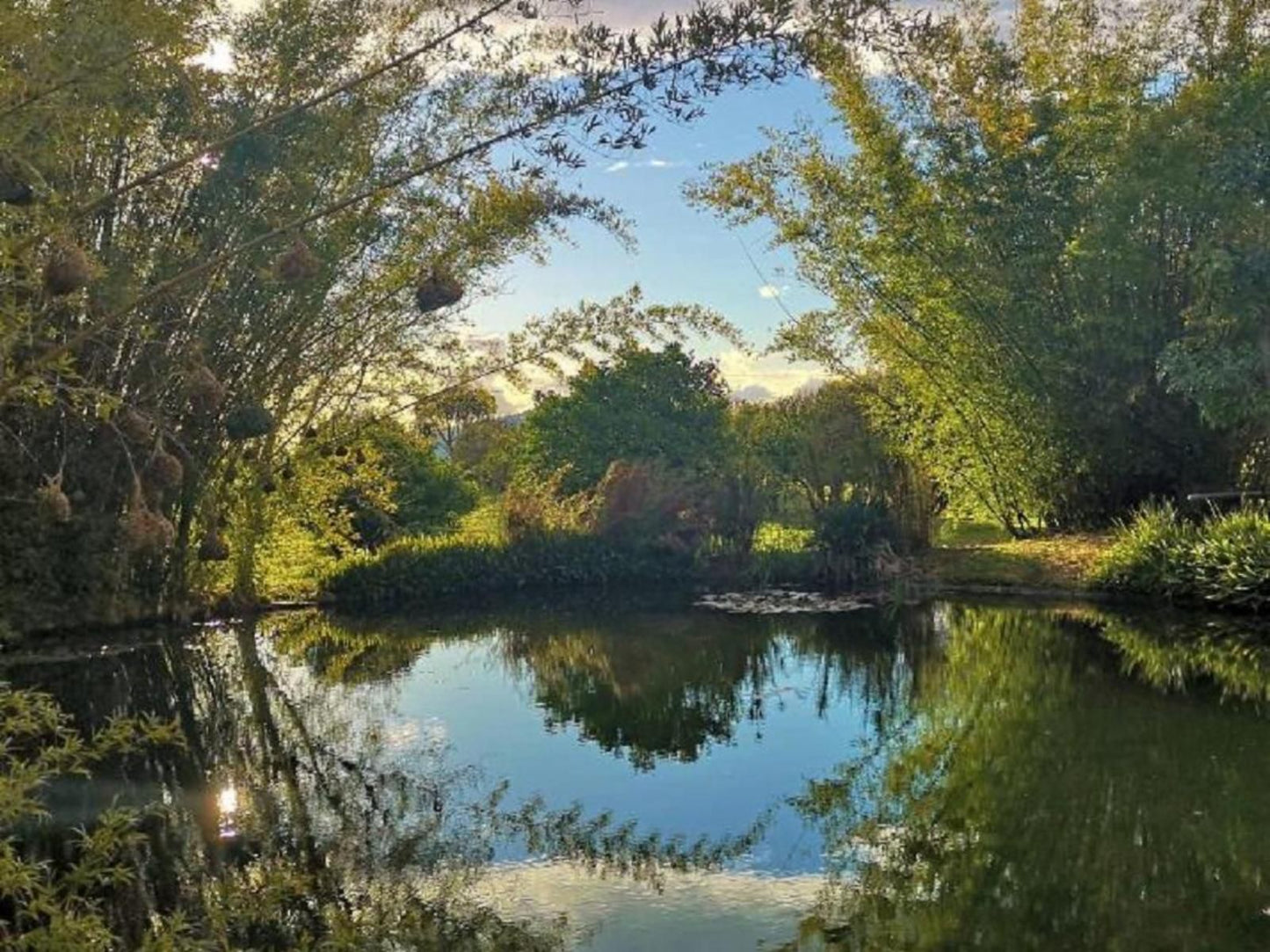 Val D Or Estate Franschhoek Western Cape South Africa River, Nature, Waters, Tree, Plant, Wood