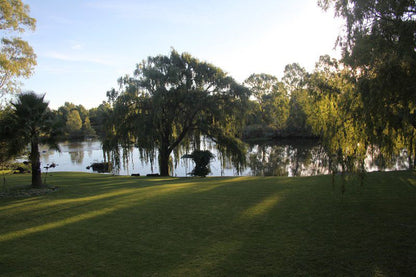 Vale2Vaal Parys Free State South Africa River, Nature, Waters, Tree, Plant, Wood