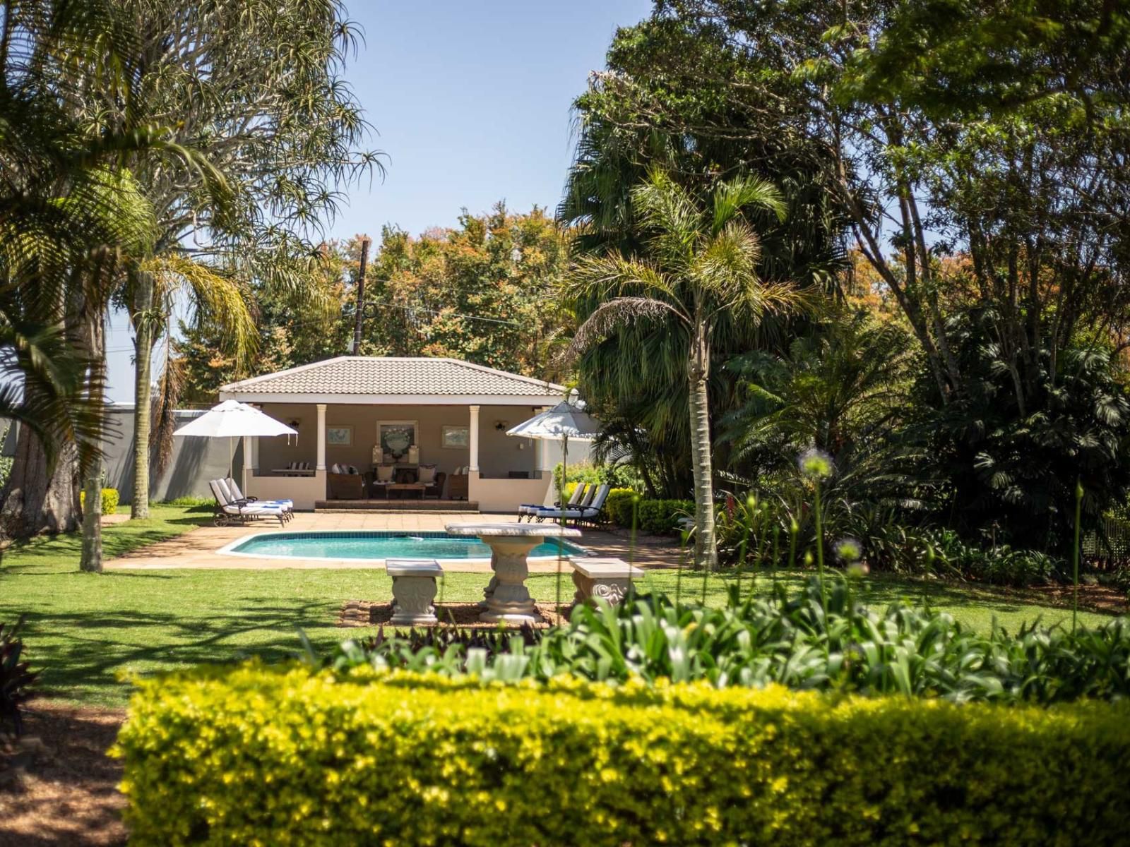 Valley Lodge, Palm Tree, Plant, Nature, Wood, Garden, Swimming Pool