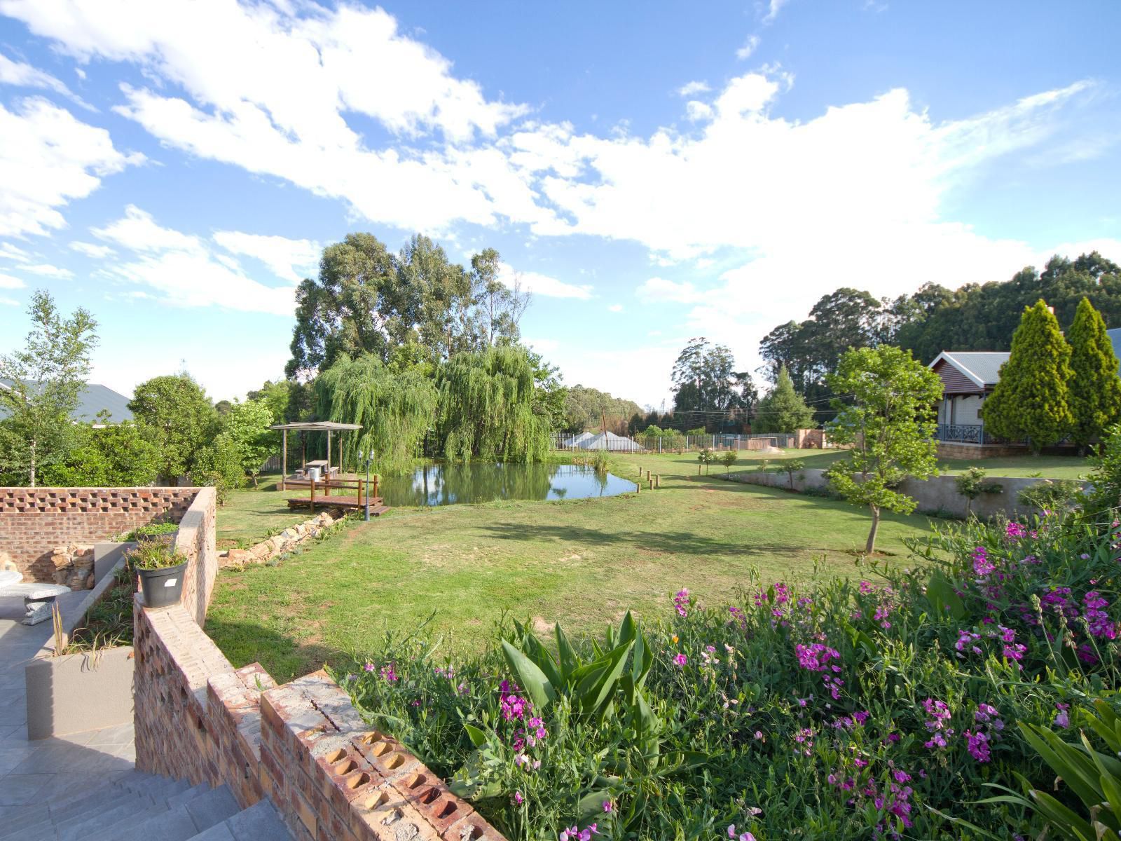 Valley View Dullstroom Dullstroom Mpumalanga South Africa Complementary Colors, Garden, Nature, Plant