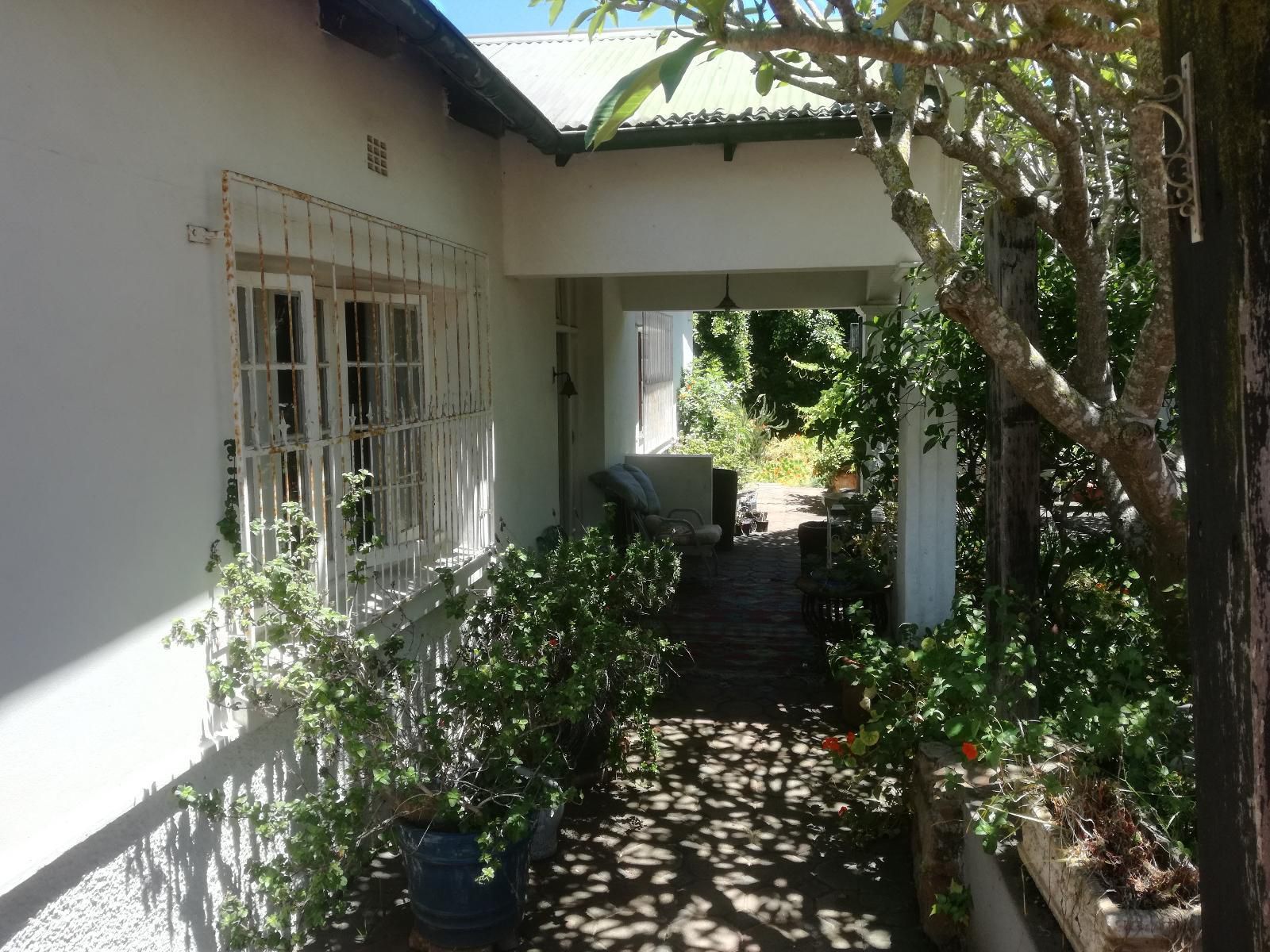 Valley Guest House St Georges Park Port Elizabeth Eastern Cape South Africa House, Building, Architecture, Palm Tree, Plant, Nature, Wood