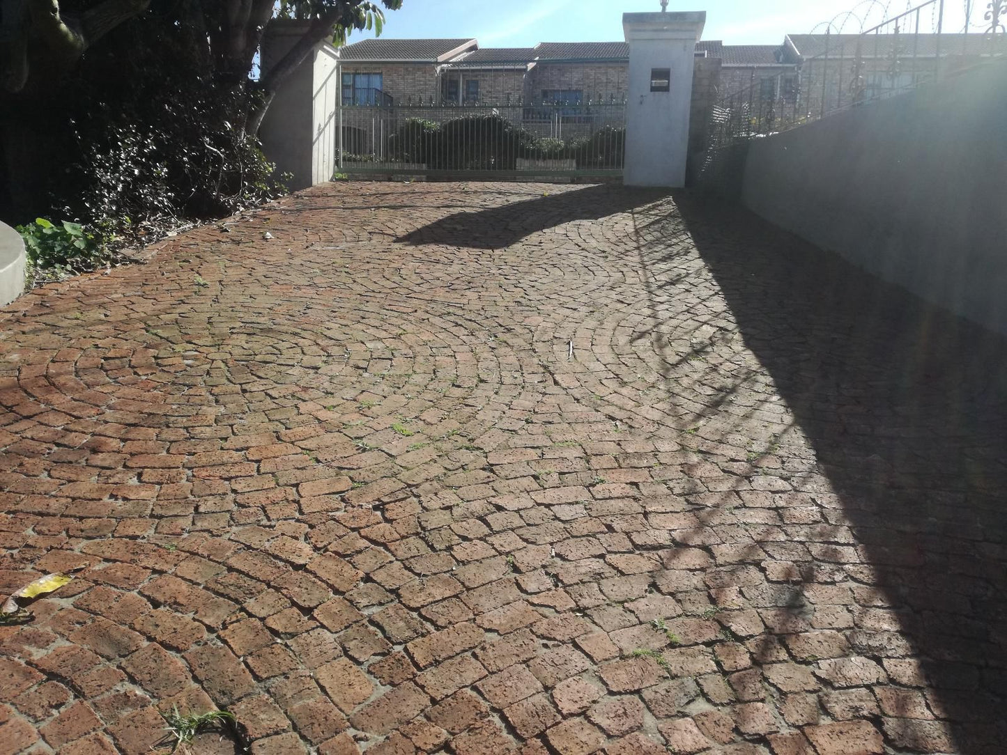 Valley Guest House St Georges Park Port Elizabeth Eastern Cape South Africa House, Building, Architecture, Garden, Nature, Plant