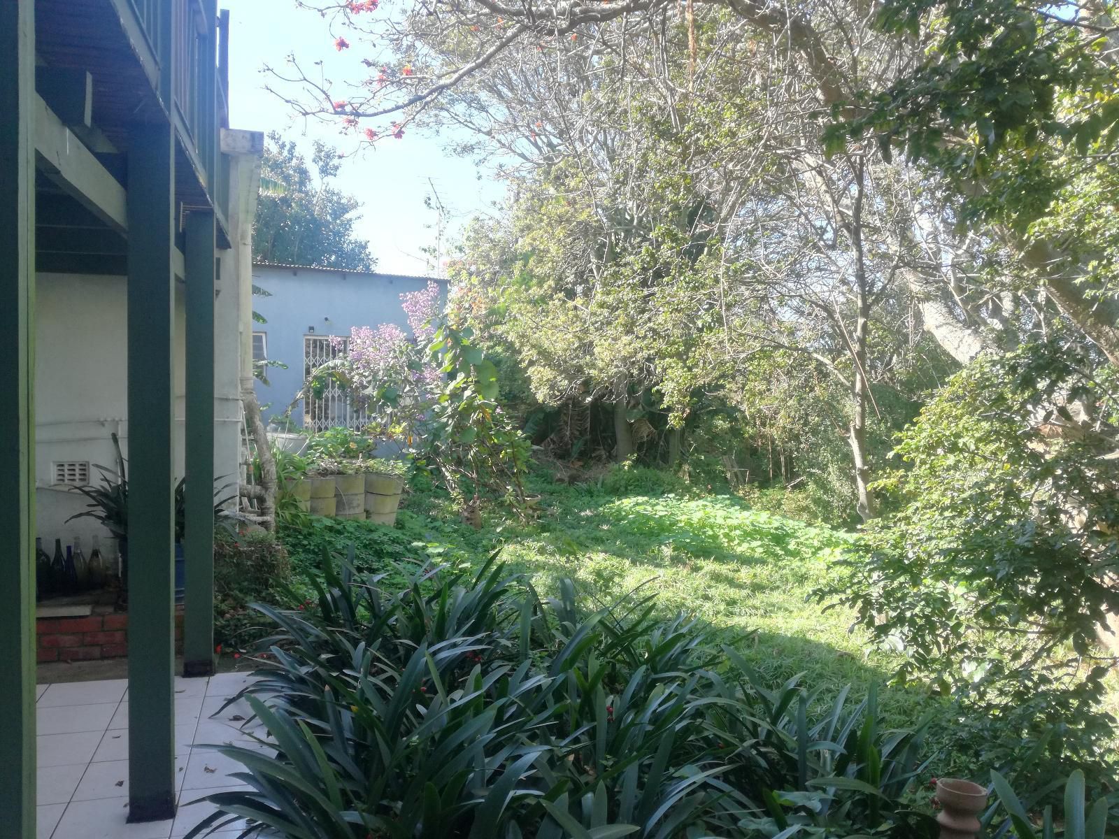 Valley Guest House St Georges Park Port Elizabeth Eastern Cape South Africa Palm Tree, Plant, Nature, Wood, Garden