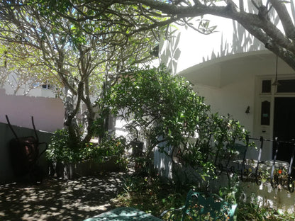 Valley Guest House St Georges Park Port Elizabeth Eastern Cape South Africa House, Building, Architecture, Palm Tree, Plant, Nature, Wood