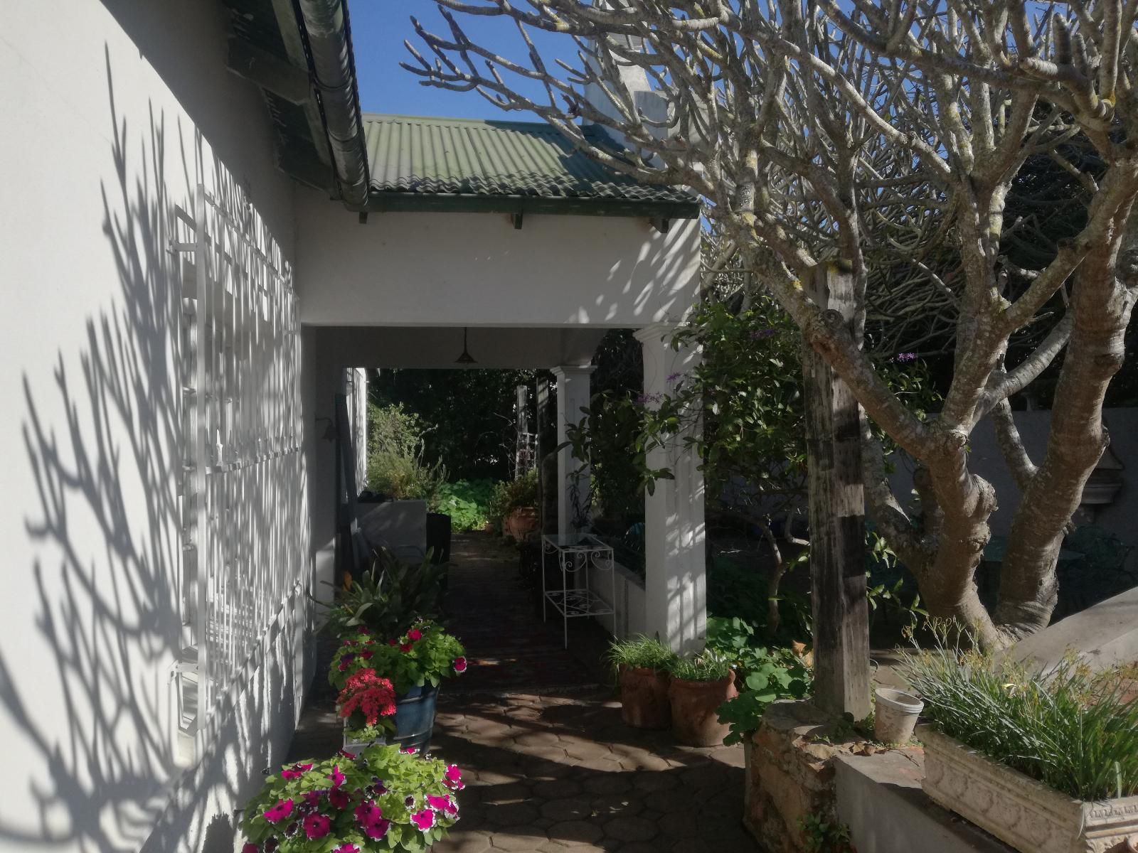 Valley Guest House St Georges Park Port Elizabeth Eastern Cape South Africa House, Building, Architecture, Plant, Nature