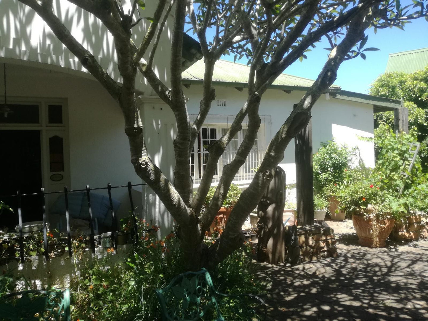 Valley Guest House St Georges Park Port Elizabeth Eastern Cape South Africa House, Building, Architecture, Palm Tree, Plant, Nature, Wood