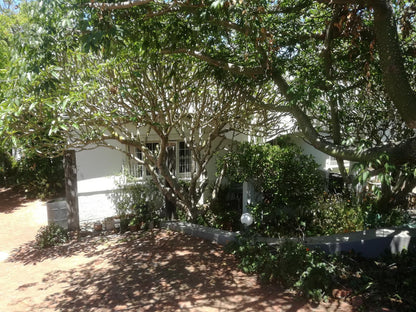 Valley Guest House St Georges Park Port Elizabeth Eastern Cape South Africa House, Building, Architecture, Palm Tree, Plant, Nature, Wood