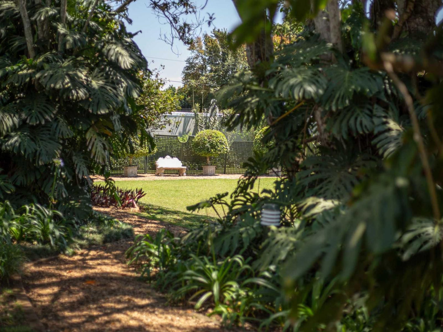 Valley Lodge Hillcrest Hillcrest Durban Kwazulu Natal South Africa Palm Tree, Plant, Nature, Wood, Garden