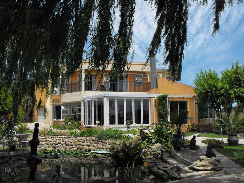 Valley Of Peace Jamestown Stellenbosch Stellenbosch Western Cape South Africa House, Building, Architecture, Palm Tree, Plant, Nature, Wood