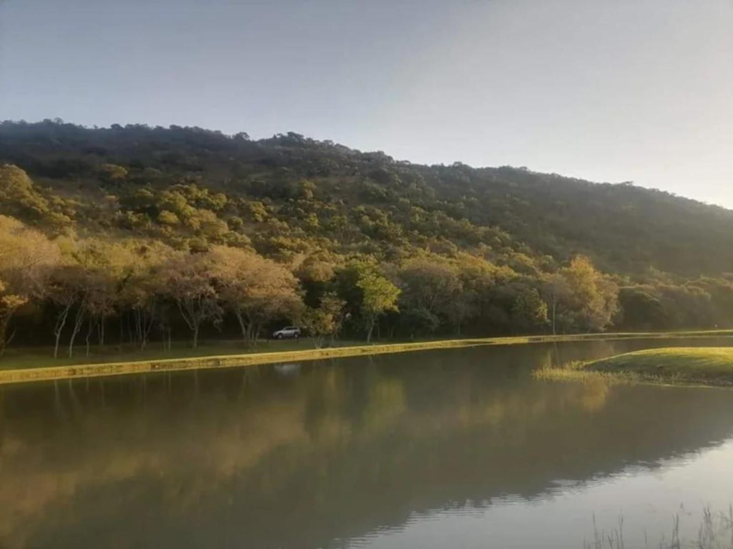 Valley Of The Rainbow Estate Dullstroom Mpumalanga South Africa River, Nature, Waters, Tree, Plant, Wood