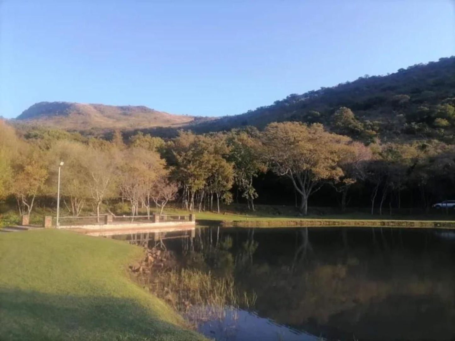 Valley Of The Rainbow Estate Dullstroom Mpumalanga South Africa Complementary Colors, Tree, Plant, Nature, Wood