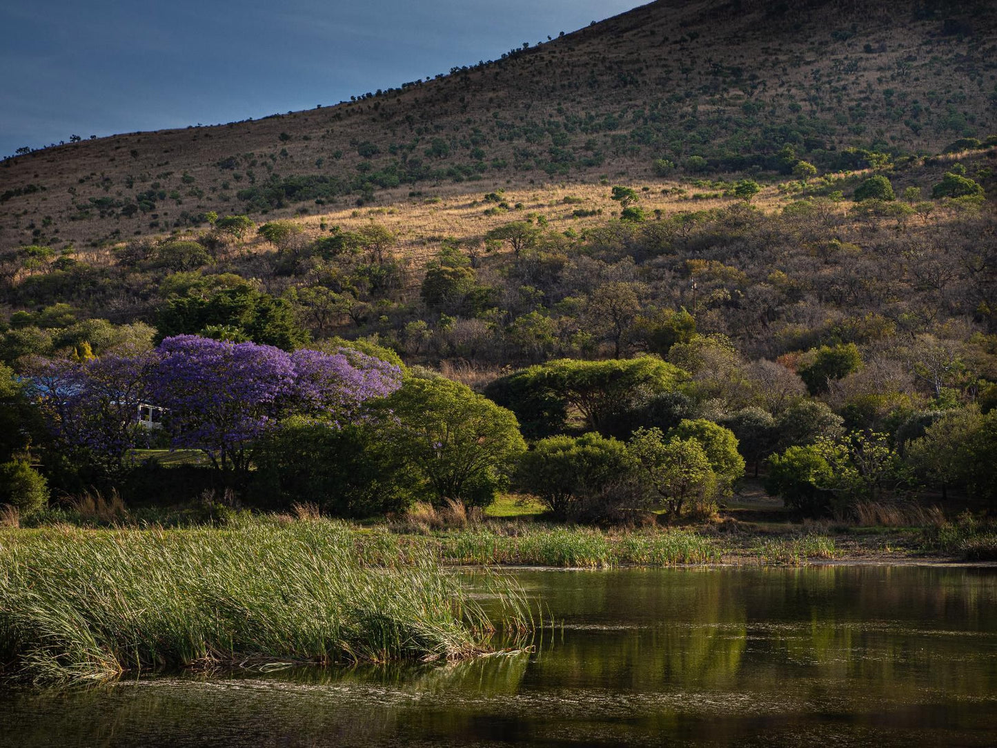 Valley Of The Rainbow Estate Dullstroom Mpumalanga South Africa Nature