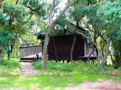 Family Tented Chalet 4-Sleeper @ Valley Of The Rainbow Estate