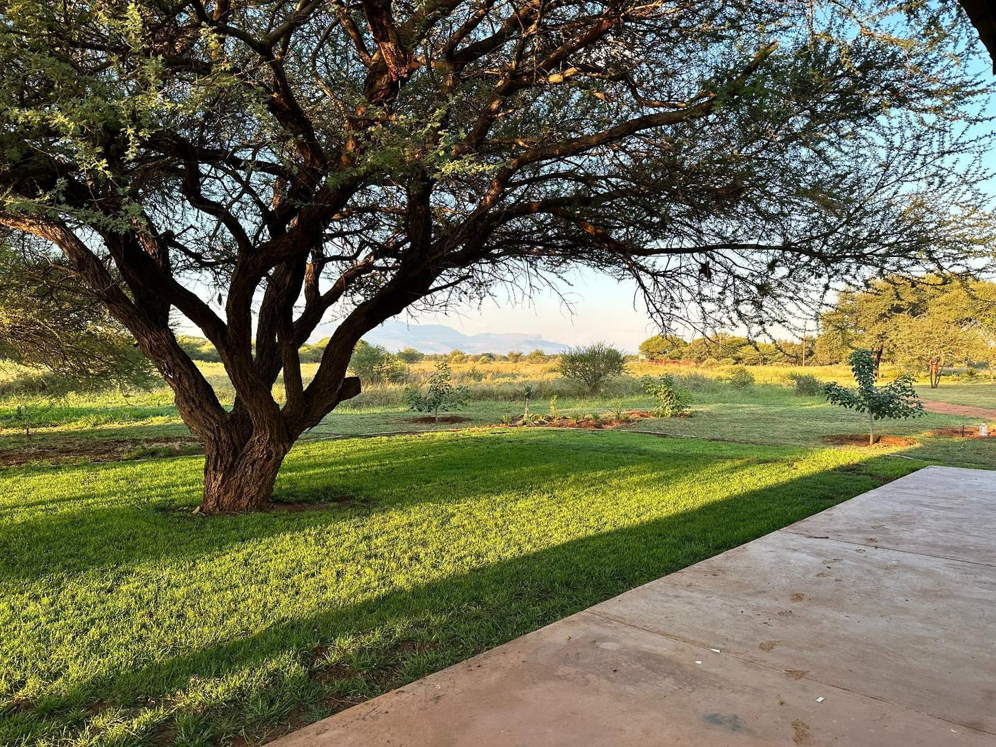 Valview Guest Lodge, Plant, Nature, Lowland