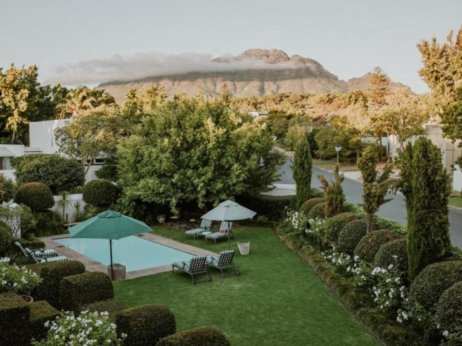 Van Der Stel Manor Mostertsdrift Stellenbosch Western Cape South Africa Garden, Nature, Plant