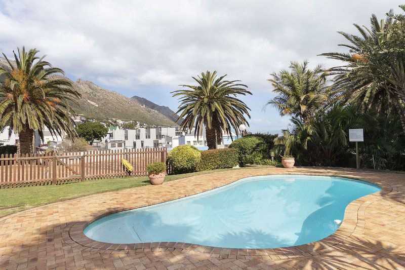 Van Riebeeck 12 By Hostagents Gordons Bay Western Cape South Africa Palm Tree, Plant, Nature, Wood, Swimming Pool