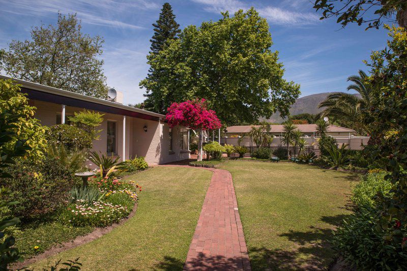 Vantage In The Hills Constantia Cape Town Western Cape South Africa House, Building, Architecture, Plant, Nature, Garden