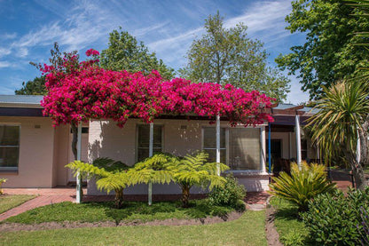 Vantage In The Hills Constantia Cape Town Western Cape South Africa Complementary Colors, House, Building, Architecture, Plant, Nature