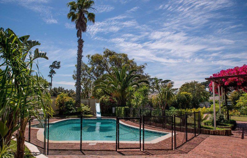 Vantage In The Hills Constantia Cape Town Western Cape South Africa Complementary Colors, Palm Tree, Plant, Nature, Wood, Garden, Swimming Pool