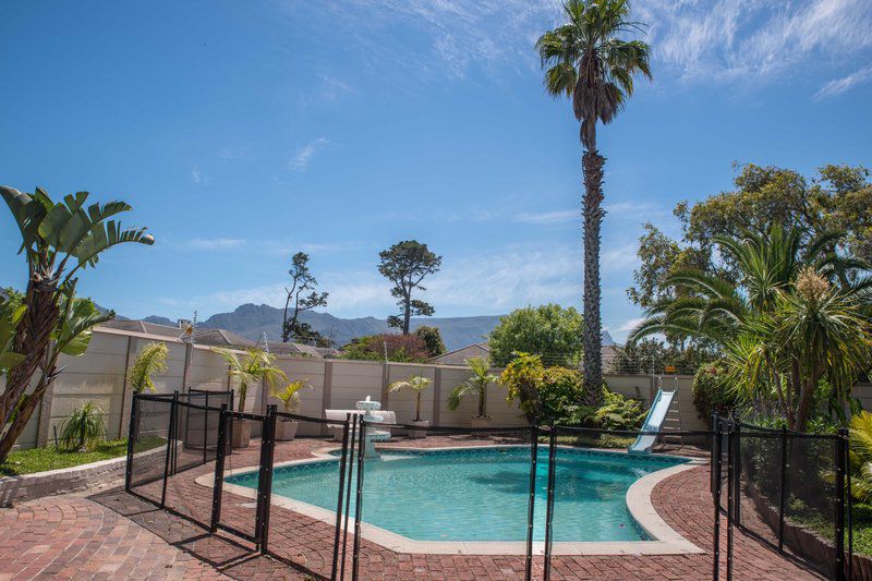 Vantage In The Hills Constantia Cape Town Western Cape South Africa Palm Tree, Plant, Nature, Wood, Garden, Swimming Pool