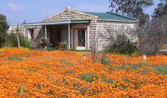 Van Zijl Guesthouses Nieuwoudtville Northern Cape South Africa House, Building, Architecture, Plant, Nature