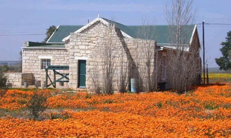 Van Zijl Guesthouses Nieuwoudtville Northern Cape South Africa Complementary Colors, Building, Architecture, Plant, Nature