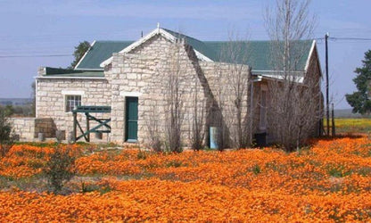 Van Zijl Guesthouses Nieuwoudtville Northern Cape South Africa Complementary Colors, Building, Architecture, Plant, Nature