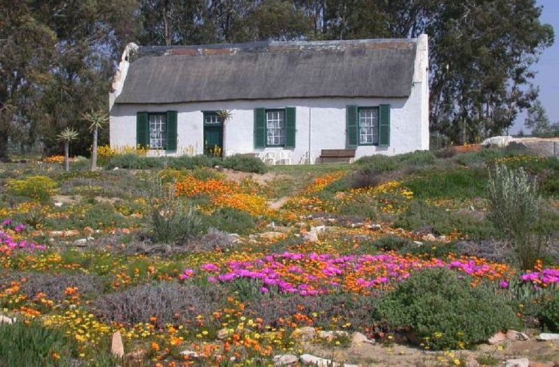 Van Zijl Guesthouses Nieuwoudtville Northern Cape South Africa Building, Architecture, Plant, Nature