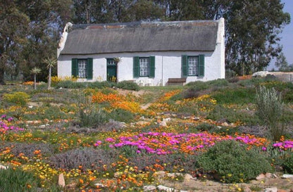 Van Zijl Guesthouses Nieuwoudtville Northern Cape South Africa Building, Architecture, Plant, Nature