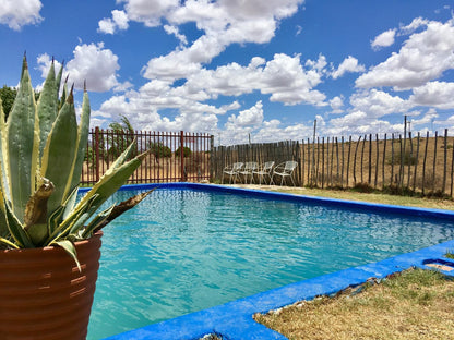 Van Zylsvlei Colesberg Northern Cape South Africa Complementary Colors, Garden, Nature, Plant, Swimming Pool