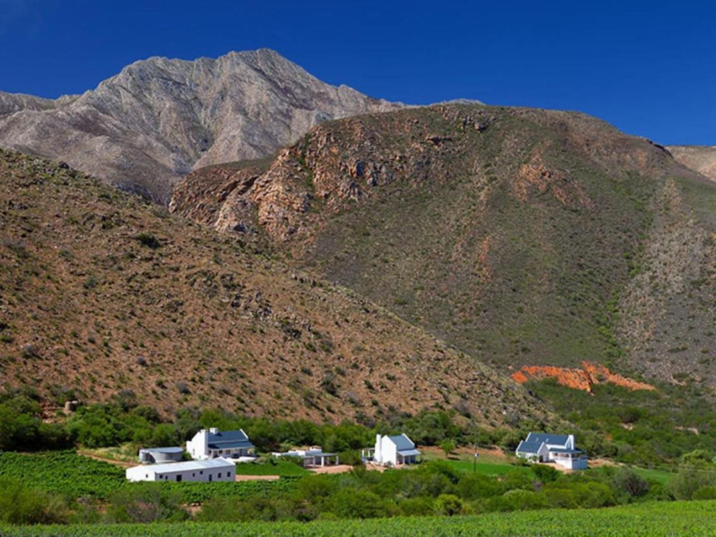 Varkenskraal Farm De Rust Western Cape South Africa Complementary Colors