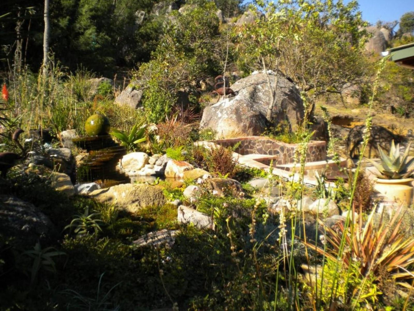 Veki'S Village, Plant, Nature, Garden