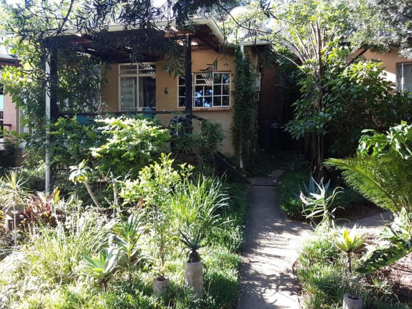 Veki'S Village, House, Building, Architecture, Palm Tree, Plant, Nature, Wood, Garden