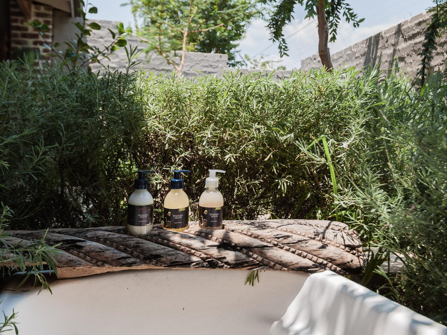 Veranda House Glenferness Johannesburg Gauteng South Africa Bottle, Drinking Accessoire, Drink, Palm Tree, Plant, Nature, Wood