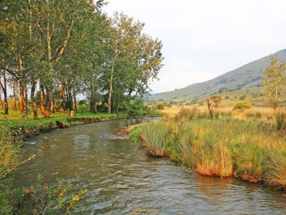 Verlorenkloof Wilgekraal Lydenburg Mpumalanga South Africa River, Nature, Waters, Tree, Plant, Wood